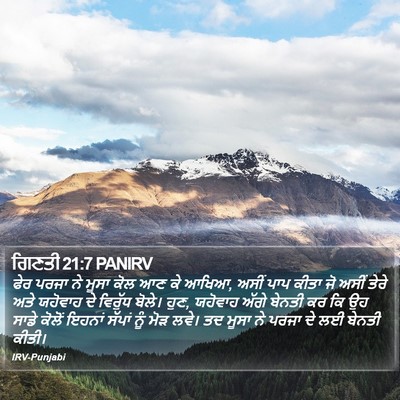 ਗਿਣਤੀ 21:7 PANIRV Bible Verse Image