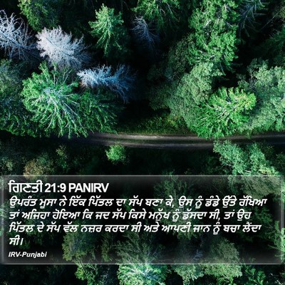 ਗਿਣਤੀ 21:9 PANIRV Bible Verse Image