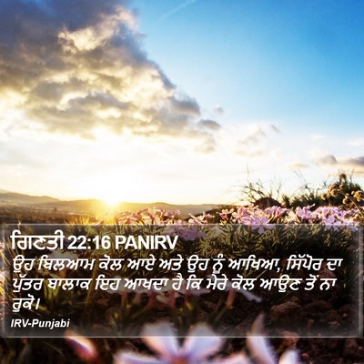 ਗਿਣਤੀ 22:16 PANIRV Bible Verse Image