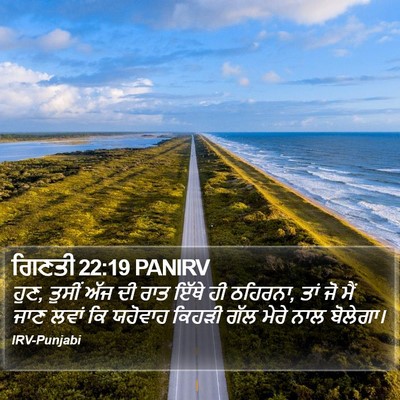 ਗਿਣਤੀ 22:19 PANIRV Bible Verse Image