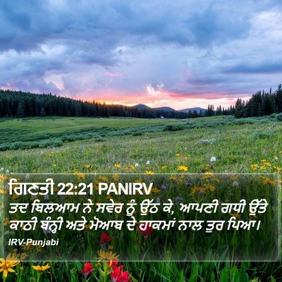 ਗਿਣਤੀ 22:21 PANIRV Bible Verse Image