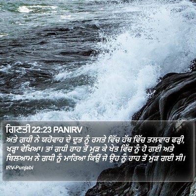 ਗਿਣਤੀ 22:23 PANIRV Bible Verse Image