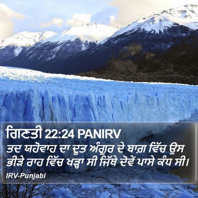 ਗਿਣਤੀ 22:24 PANIRV Bible Verse Image
