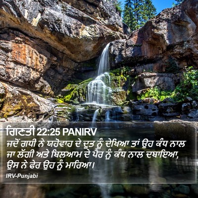 ਗਿਣਤੀ 22:25 PANIRV Bible Verse Image