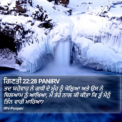 ਗਿਣਤੀ 22:28 PANIRV Bible Verse Image