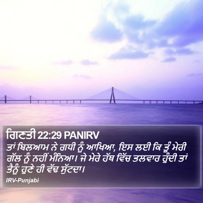 ਗਿਣਤੀ 22:29 PANIRV Bible Verse Image