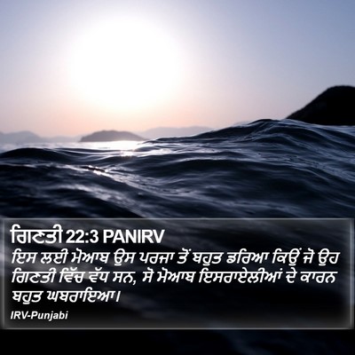 ਗਿਣਤੀ 22:3 PANIRV Bible Verse Image