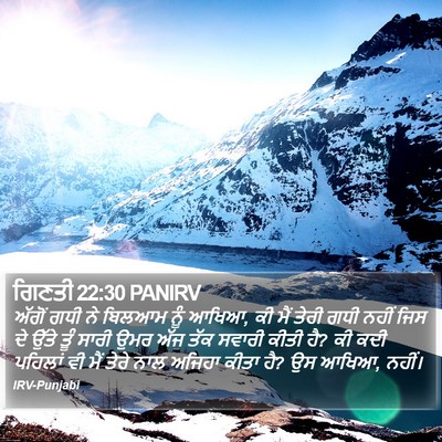 ਗਿਣਤੀ 22:30 PANIRV Bible Verse Image
