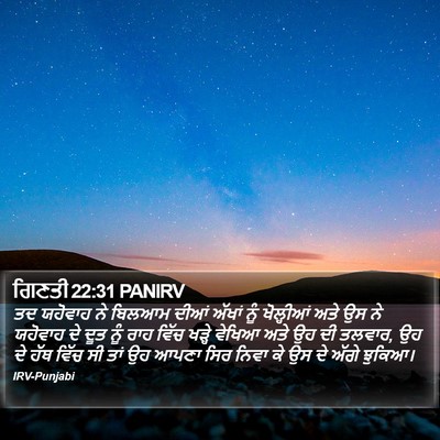 ਗਿਣਤੀ 22:31 PANIRV Bible Verse Image