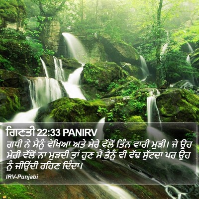 ਗਿਣਤੀ 22:33 PANIRV Bible Verse Image