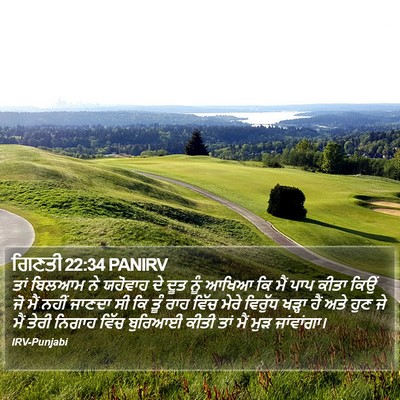 ਗਿਣਤੀ 22:34 PANIRV Bible Verse Image