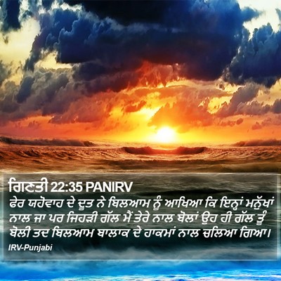 ਗਿਣਤੀ 22:35 PANIRV Bible Verse Image