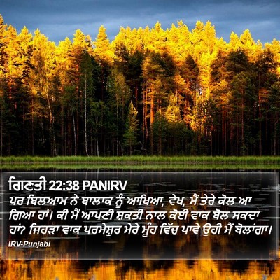 ਗਿਣਤੀ 22:38 PANIRV Bible Verse Image