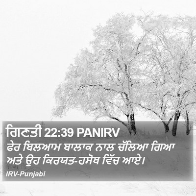 ਗਿਣਤੀ 22:39 PANIRV Bible Verse Image