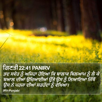 ਗਿਣਤੀ 22:41 PANIRV Bible Verse Image