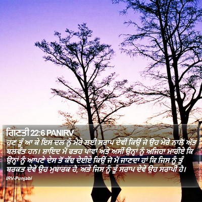 ਗਿਣਤੀ 22:6 PANIRV Bible Verse Image