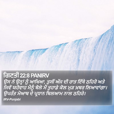 ਗਿਣਤੀ 22:8 PANIRV Bible Verse Image