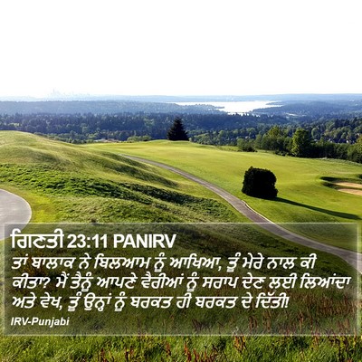 ਗਿਣਤੀ 23:11 PANIRV Bible Verse Image