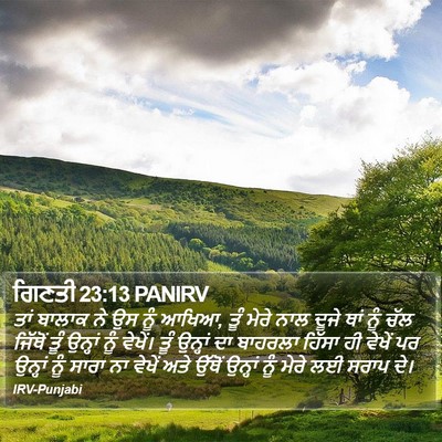ਗਿਣਤੀ 23:13 PANIRV Bible Verse Image