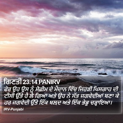 ਗਿਣਤੀ 23:14 PANIRV Bible Verse Image