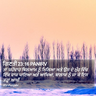 ਗਿਣਤੀ 23:16 PANIRV Bible Verse Image