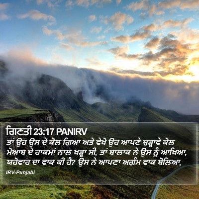 ਗਿਣਤੀ 23:17 PANIRV Bible Verse Image
