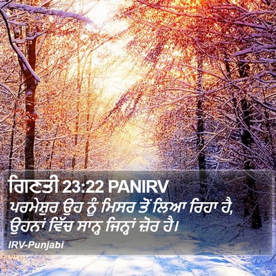 ਗਿਣਤੀ 23:22 PANIRV Bible Verse Image