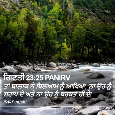 ਗਿਣਤੀ 23:25 PANIRV Bible Verse Image