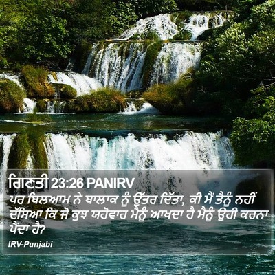 ਗਿਣਤੀ 23:26 PANIRV Bible Verse Image