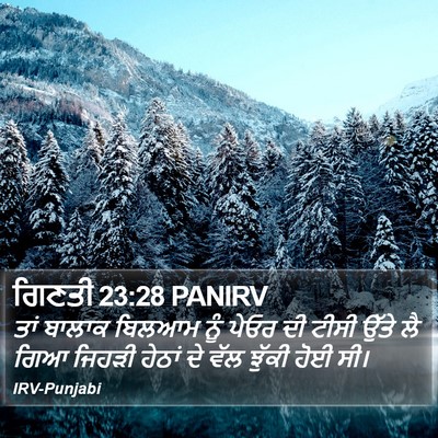 ਗਿਣਤੀ 23:28 PANIRV Bible Verse Image