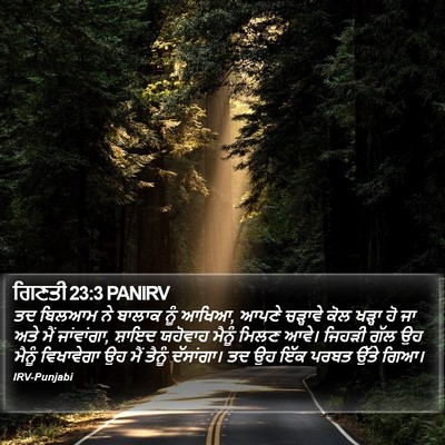 ਗਿਣਤੀ 23:3 PANIRV Bible Verse Image