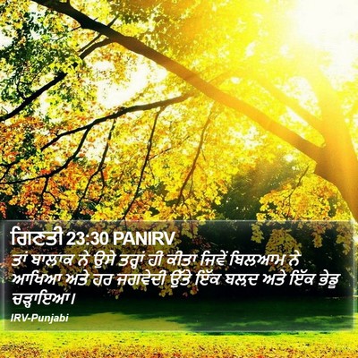 ਗਿਣਤੀ 23:30 PANIRV Bible Verse Image