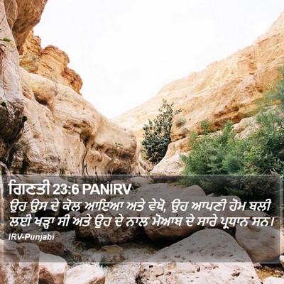 ਗਿਣਤੀ 23:6 PANIRV Bible Verse Image