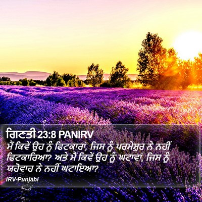 ਗਿਣਤੀ 23:8 PANIRV Bible Verse Image