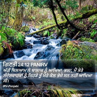 ਗਿਣਤੀ 24:12 PANIRV Bible Verse Image