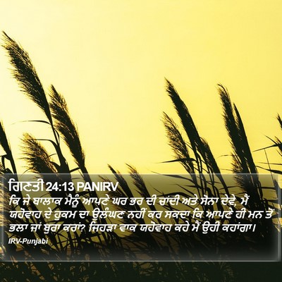 ਗਿਣਤੀ 24:13 PANIRV Bible Verse Image