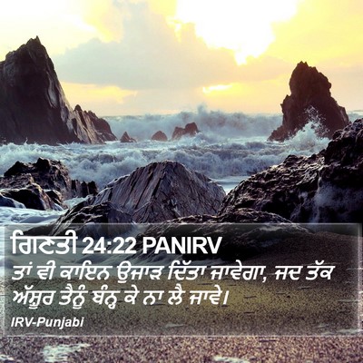 ਗਿਣਤੀ 24:22 PANIRV Bible Verse Image