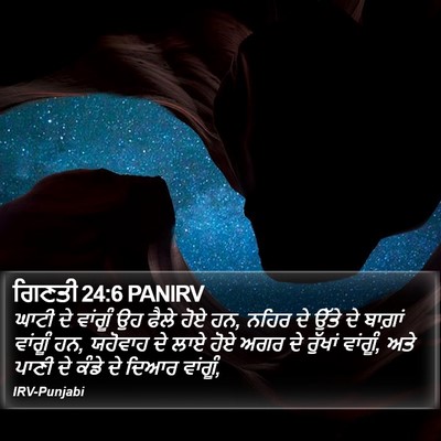 ਗਿਣਤੀ 24:6 PANIRV Bible Verse Image