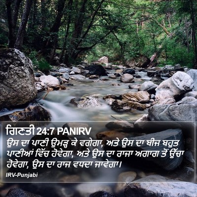 ਗਿਣਤੀ 24:7 PANIRV Bible Verse Image