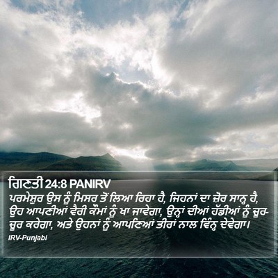 ਗਿਣਤੀ 24:8 PANIRV Bible Verse Image