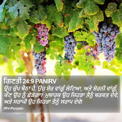 ਗਿਣਤੀ 24:9 PANIRV Bible Verse Image