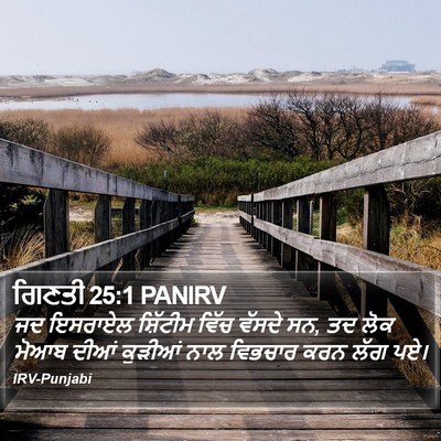 ਗਿਣਤੀ 25:1 PANIRV Bible Verse Image