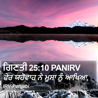 ਗਿਣਤੀ 25:10 PANIRV Bible Verse Image