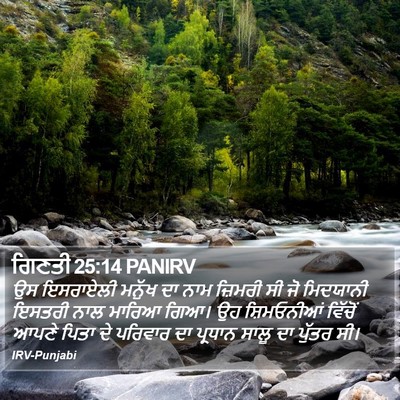 ਗਿਣਤੀ 25:14 PANIRV Bible Verse Image