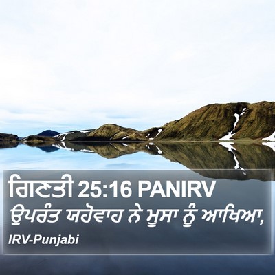 ਗਿਣਤੀ 25:16 PANIRV Bible Verse Image