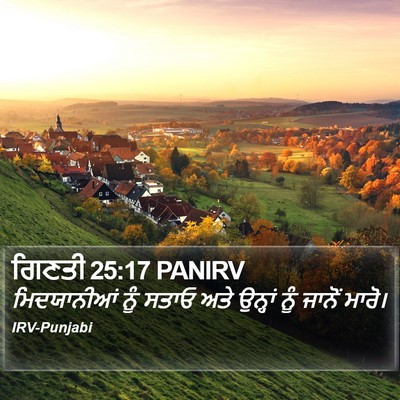 ਗਿਣਤੀ 25:17 PANIRV Bible Verse Image