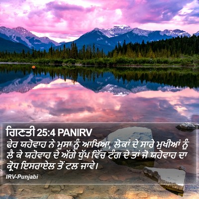 ਗਿਣਤੀ 25:4 PANIRV Bible Verse Image
