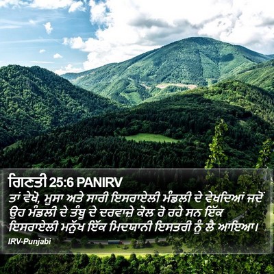 ਗਿਣਤੀ 25:6 PANIRV Bible Verse Image