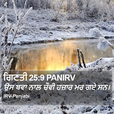 ਗਿਣਤੀ 25:9 PANIRV Bible Verse Image
