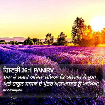 ਗਿਣਤੀ 26:1 PANIRV Bible Verse Image